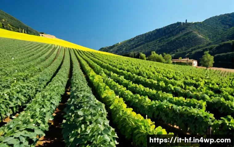 Valutare l’apprendimento nei corsi online: metodi, rubriche e strumenti da scegliere 4 온라인 강의의 학습 성과 평가 기법 관련 이미지 2